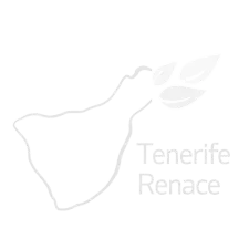 Tenerife Renace